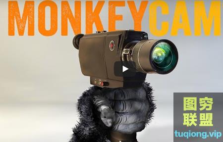 [AE脚本]摄像机动画运动控制脚本 MonkeyCam Pro v1.03@21149