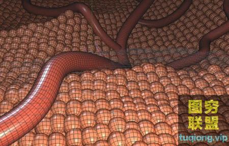 [C4D教程]C4D模拟细胞在血管流动动画视频教程@15324