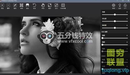 [WIN版软件]老照片黑白照片一键AI智能上色软件Picture Colorizer Pro V@26986