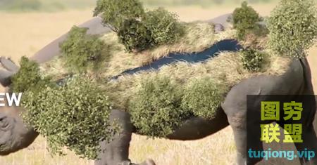 [AE插件]中文汉化物体表面跟踪特效合成高级工具 Lockdown v1.6.0 @26072