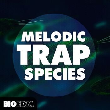 Big EDM Melodic Trap Species WAV MIDi PRESETS-工程模板/LOOP/MIDI/预设/WAV素材