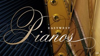 East West Pianos Platinum Bosendorfer 290 v1.0.1