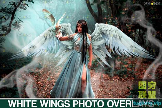20P超高清逼真的白色天使翅膀PNG透明合成素材
