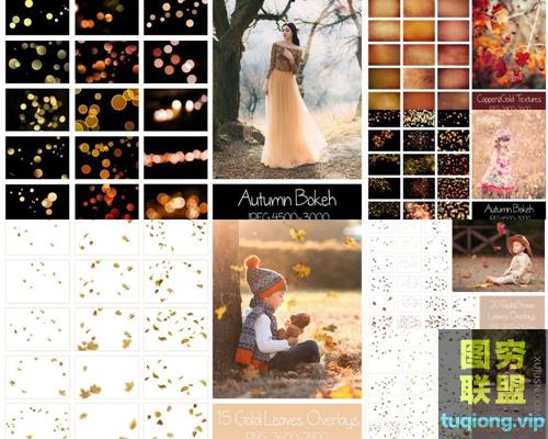 140+高清温暖秋季落叶散景光斑纹理叠加合成素材（附动作）