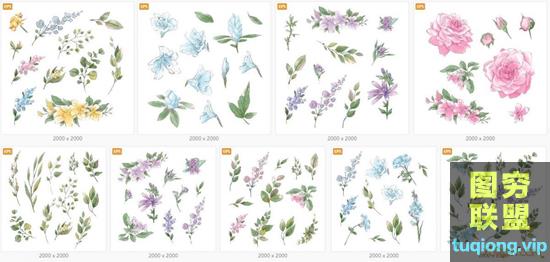 9组 鲜花和树枝树叶水彩设计矢量插图Flowers and twigs with leaves