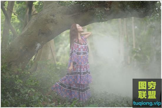 22张气质模特户外写真原片树林风景raw原图人像后期练习素材