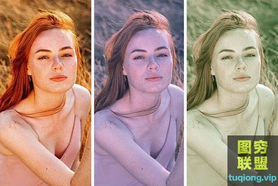 Franzis_#2 professional Collection 4 in 1 x64 Chs Portable汉化便携版