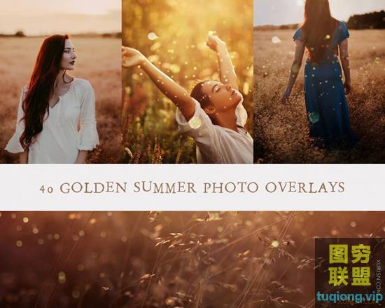 40张高清金色夏日照片写真叠加素材包Golden Summer Photo Overlays