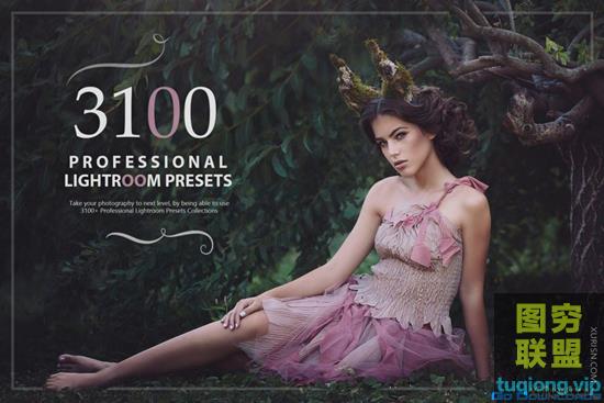 3100+（25个类别）独特戏剧性高级Lightroom预设集