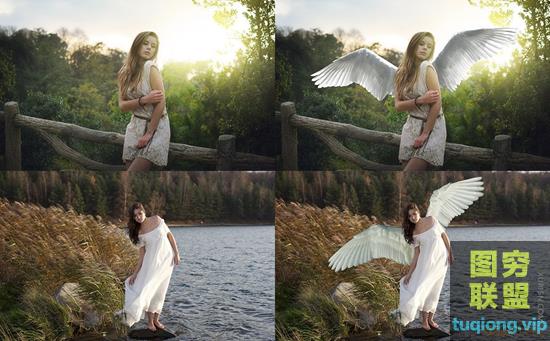 15个高清白色天使翅膀Photoshop合成叠加PNG透明素材（2）