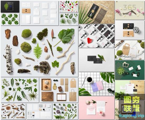 植物 树叶/花朵/多肉/树枝摆拍 PSD分层透明图层 模板素材