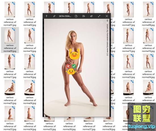 120组超高清5K高清欧美女性人体艺术绘画建模参考图合集