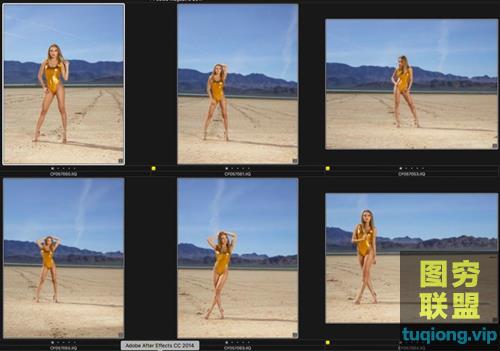 12张性感美女mia胶衣比基尼Vegas沙漠写真RAW原片IIQ格式