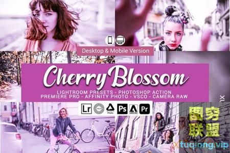 20款樱花色调LR/Luts预设