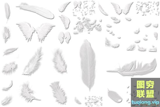 30P 高清透明免抠图白色翅膀羽毛PNG图片集