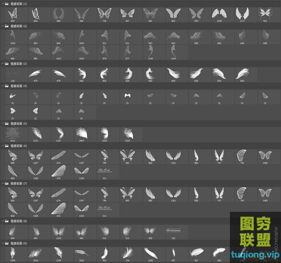 30套PS翅膀笔刷合集