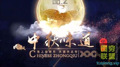 典雅大气鎏金多种转场演绎中秋佳节温馨和谐倍思亲氛围AE...