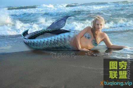 117张美人鱼尾巴PSD透明层合成素材