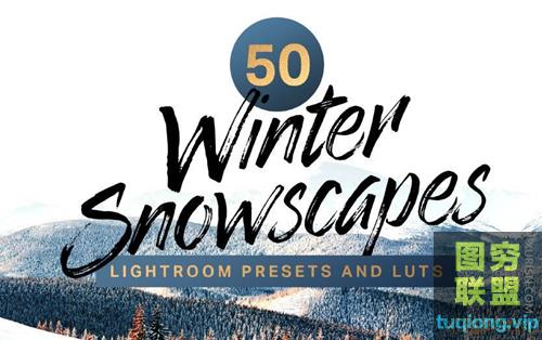 50个冬季LR预设和LUT 50 Winter Lightroom Presets and LUTs