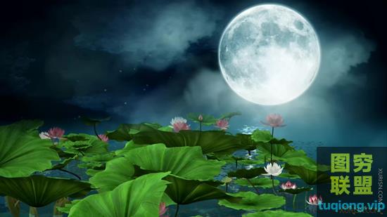 28个1080P高清唯美意境中秋视频素材