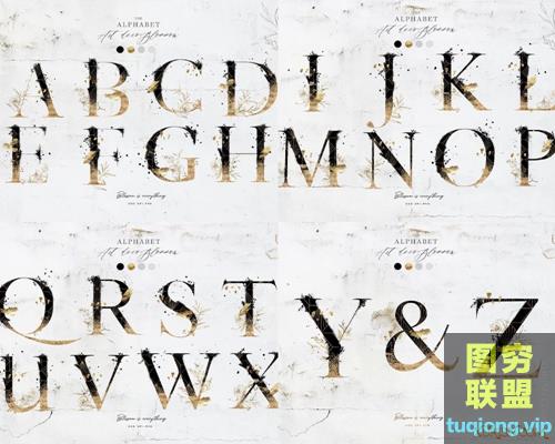 金色墨迹英文字母婚礼花环LOGO标志请柬卡片