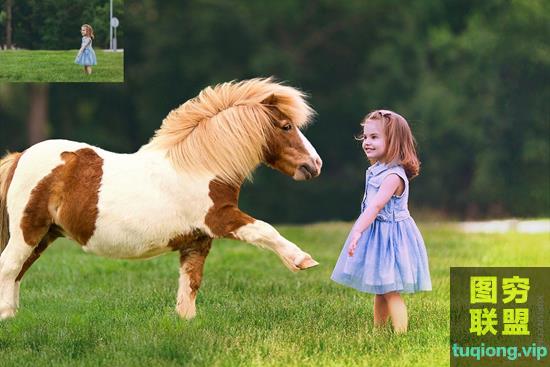 32P 透明免抠小马PNG图片集照片合成素材