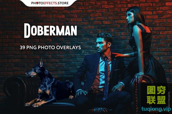 44P 透明免抠杜宾犬PNG图片集照片合成素材