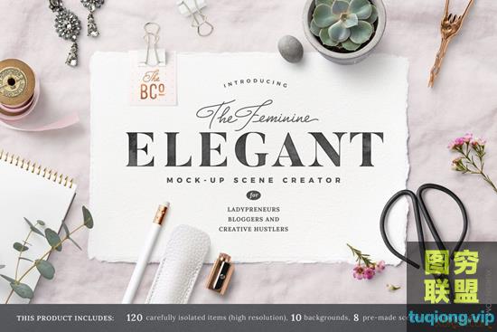 5.5G优雅女性化场景元素PSD样机模板The Elegant Mock-Up Scene Creator