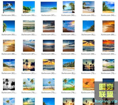 131P 高清海边沙滩椰树背景JPG图库素材