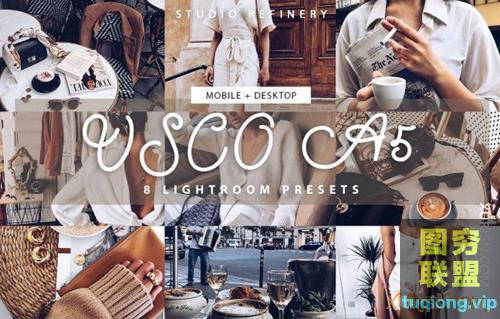 8个VSCO A5 Lightroom预设 桌面+移动版