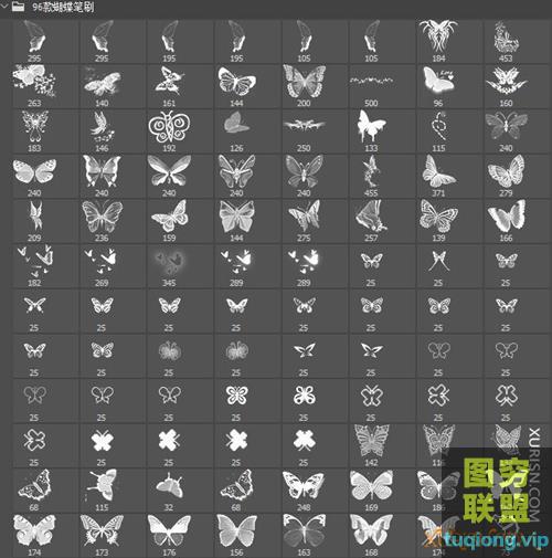 96款蝴蝶PS笔刷