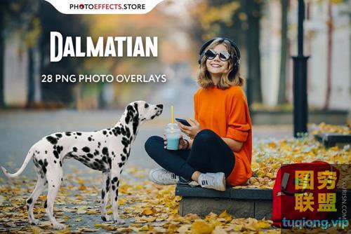 28P 透明免抠斑点狗PNG图片集照片合成素材