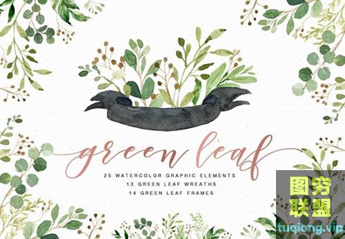 水墨绿色树叶透明PNG免扣素材Green leaf PNG free material