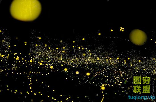 梦幻荧光效果叠加素材