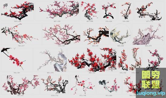 23张透明免抠梅花素材PNG图片