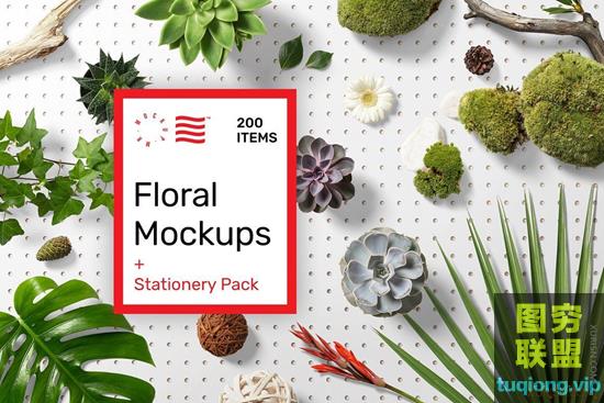 1.8G花卉和文具用品样机素材合辑包Floral Mockups+Stationery Pack
