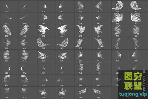 62个光影分形翅膀photoshop笔刷素材