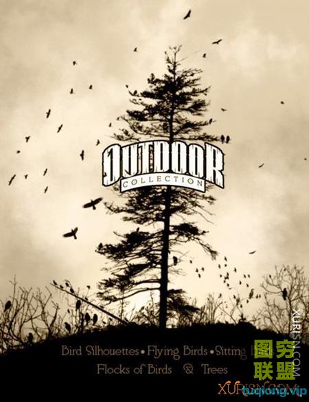 140个高分辨率Photoshop鸟类飞鸟鸟群画笔Ron\'s Birds