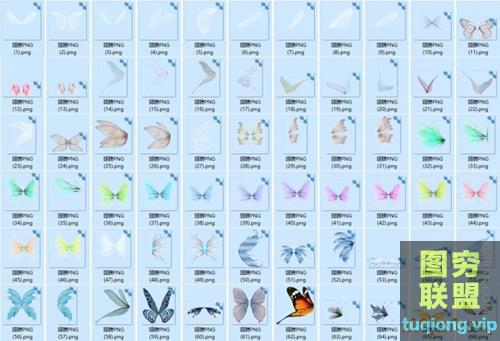 66P 精灵翅膀PNG透明合成素材