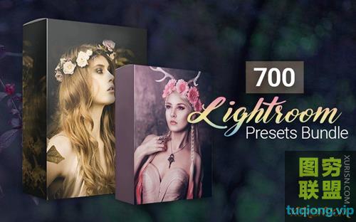 InkyDeals 700+ LR预设套件 700 Amazing Lightroom Presets Bundle