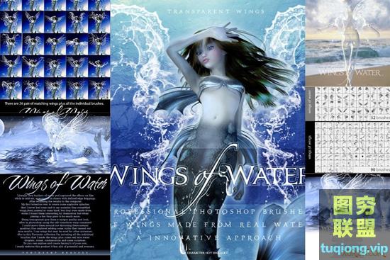 高清奇幻水翅膀水滴飞溅PS画笔素材Ron\'s Wings of Water