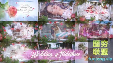 浪漫玫瑰花瓣照片相册视频婚礼包装片头 Wedding Slideshow