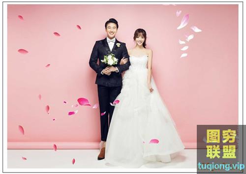 31P桃花樱花飘洒花瓣设计叠加合成素材PSD透明图层