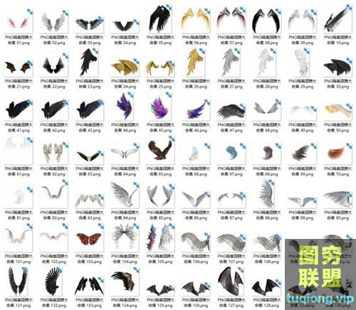 138P PNG透明免抠翅膀 天使 恶魔 精灵等翅膀集