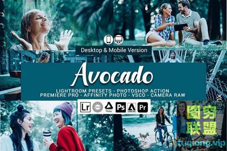 20款牛油果色调LR/Luts预设