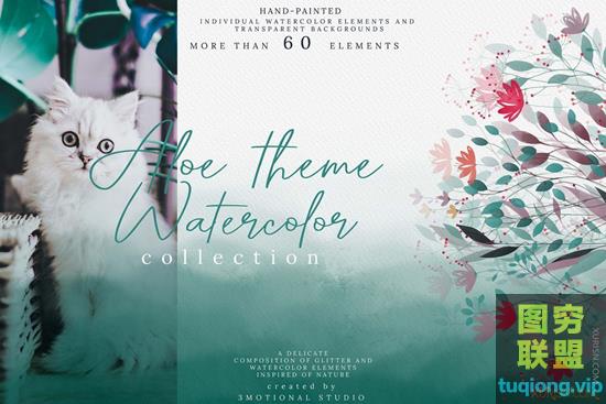 64幅芦荟主题水彩插图集Aloe theme Watercolor Collection