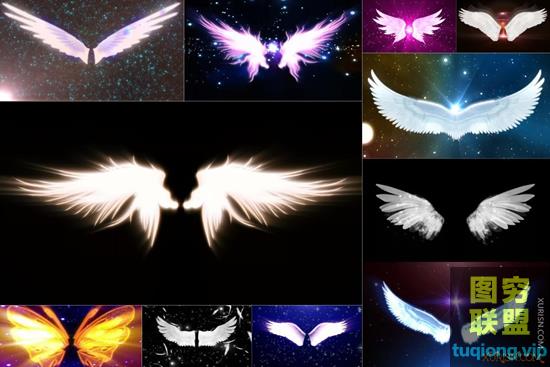 11款唯美婚礼新娘出场天使翅膀视频素材集