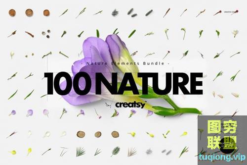 100款自然元素合辑TIF分层图片合集100 Elements Nature Bundle