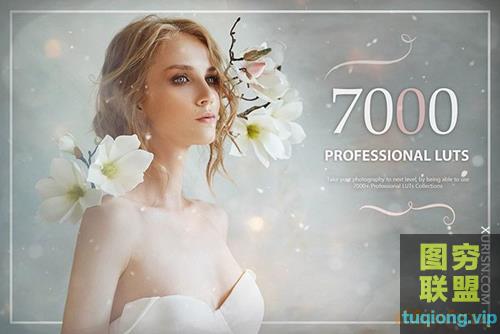 【10GB】LUTs预设包集Avanquest 7000+ Professional LUTs
