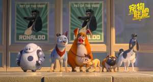 动漫电影《宠物联盟》解说文案/片源下载